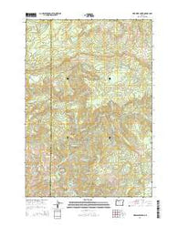Warnicke Creek Oregon Current topographic map, 1:24000 scale, 7.5 X 7.5 Minute, Year 2014