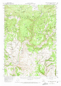 West Myrtle Butte Oregon Historical topographic map, 1:62500 scale, 15 X 15 Minute, Year 1959