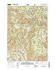 West Myrtle Butte Oregon Current topographic map, 1:24000 scale, 7.5 X 7.5 Minute, Year 2014