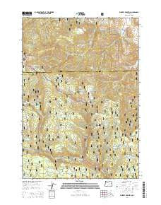 Whiskey Mountain Oregon Current topographic map, 1:24000 scale, 7.5 X 7.5 Minute, Year 2014
