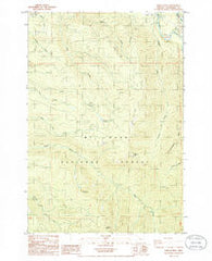 Wildcat Mountain Oregon Historical topographic map, 1:24000 scale, 7.5 X 7.5 Minute, Year 1985