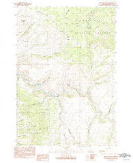 Wildcat Point Oregon Historical topographic map, 1:24000 scale, 7.5 X 7.5 Minute, Year 1990