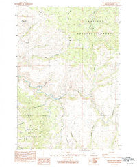 Wildcat Point Oregon Historical topographic map, 1:24000 scale, 7.5 X 7.5 Minute, Year 1990