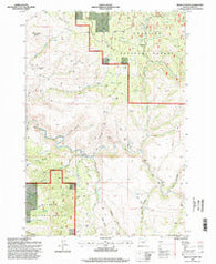 Wildcat Point Oregon Historical topographic map, 1:24000 scale, 7.5 X 7.5 Minute, Year 1995