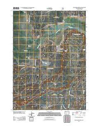 Wildhorse Ridge Oregon Historical topographic map, 1:24000 scale, 7.5 X 7.5 Minute, Year 2011