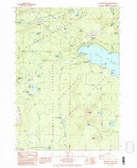 Willamette Pass Oregon Historical topographic map, 1:24000 scale, 7.5 X 7.5 Minute, Year 1986