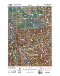 Williams Prairie Oregon Historical topographic map, 1:24000 scale, 7.5 X 7.5 Minute, Year 2011