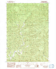 Windy Peak Oregon Historical topographic map, 1:24000 scale, 7.5 X 7.5 Minute, Year 1984