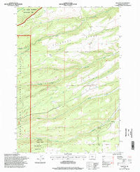 Wolf Run Oregon Historical topographic map, 1:24000 scale, 7.5 X 7.5 Minute, Year 1996