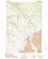 Zumwalt Oregon Historical topographic map, 1:24000 scale, 7.5 X 7.5 Minute, Year 1990