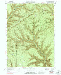 Lee Fire Tower Pennsylvania Historical topographic map, 1:24000 scale, 7.5 X 7.5 Minute, Year 1947