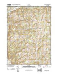 Litchfield Pennsylvania Historical topographic map, 1:24000 scale, 7.5 X 7.5 Minute, Year 2013