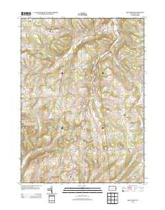 Millerton Pennsylvania Historical topographic map, 1:24000 scale, 7.5 X 7.5 Minute, Year 2013