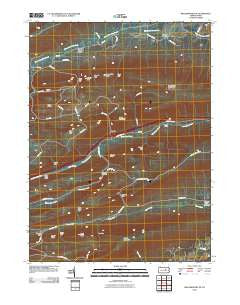 Williamsport SE Pennsylvania Historical topographic map, 1:24000 scale, 7.5 X 7.5 Minute, Year 2010