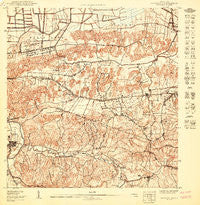Bayamon SO Puerto Rico Historical topographic map, 1:10000 scale, 3.75 X 3.75 Minute, Year 1950