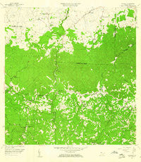 Bayaney Puerto Rico Historical topographic map, 1:20000 scale, 7.5 X 7.5 Minute, Year 1957
