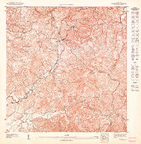 Caguas SO Puerto Rico Historical topographic map, 1:10000 scale, 3.75 X 3.75 Minute, Year 1947