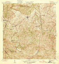 Corozal Puerto Rico Historical topographic map, 1:30000 scale, 7.5 X 7.5 Minute, Year 1946