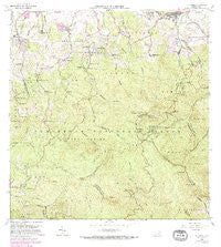 El Yunque Puerto Rico Historical topographic map, 1:20000 scale, 7.5 X 7.5 Minute, Year 1967