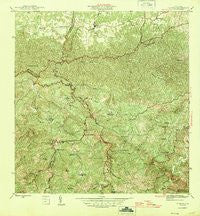 Florida Puerto Rico Historical topographic map, 1:30000 scale, 7.5 X 7.5 Minute, Year 1946