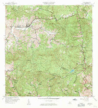 Jayuya Puerto Rico Historical topographic map, 1:20000 scale, 7.5 X 7.5 Minute, Year 1960