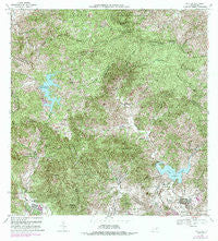 Patillas Puerto Rico Historical topographic map, 1:20000 scale, 7.5 X 7.5 Minute, Year 1972