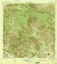 Patillas Puerto Rico Historical topographic map, 1:30000 scale, 7.5 X 7.5 Minute, Year 1946