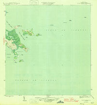 Punta Puerca Puerto Rico Historical topographic map, 1:30000 scale, 7.5 X 7.5 Minute, Year 1946