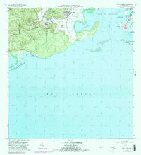 Punta Verraco Puerto Rico Historical topographic map, 1:20000 scale, 7.5 X 7.5 Minute, Year 1966