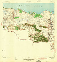 Vega Alta Puerto Rico Historical topographic map, 1:30000 scale, 7.5 X 7.5 Minute, Year 1940