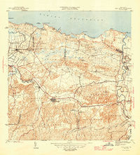 Vega Alta Puerto Rico Historical topographic map, 1:30000 scale, 7.5 X 7.5 Minute, Year 1946
