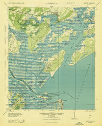 Bluffton South Carolina Historical topographic map, 1:62500 scale, 15 X 15 Minute, Year 1945