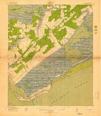 Fort Moultrie South Carolina Historical topographic map, 1:21120 scale, 7.5 X 7.5 Minute, Year 1919