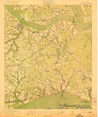 Manning South Carolina Historical topographic map, 1:62500 scale, 15 X 15 Minute, Year 1921