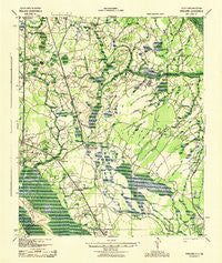 Pineland South Carolina Historical topographic map, 1:62500 scale, 15 X 15 Minute, Year 1943