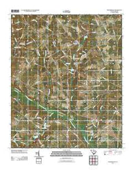 Pond Branch South Carolina Historical topographic map, 1:24000 scale, 7.5 X 7.5 Minute, Year 2011