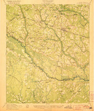 St. George South Carolina Historical topographic map, 1:62500 scale, 15 X 15 Minute, Year 1921