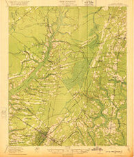 Summerville South Carolina Historical topographic map, 1:62500 scale, 15 X 15 Minute, Year 1920