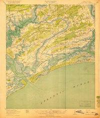 Wadmelaw Island South Carolina Historical topographic map, 1:62500 scale, 15 X 15 Minute, Year 1919
