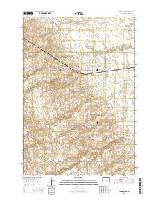 Twin Brooks South Dakota Current topographic map, 1:24000 scale, 7.5 X 7.5 Minute, Year 2015