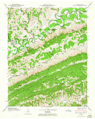 Back Valley Tennessee Historical topographic map, 1:24000 scale, 7.5 X 7.5 Minute, Year 1946