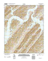 Bacon Gap Tennessee Historical topographic map, 1:24000 scale, 7.5 X 7.5 Minute, Year 2013