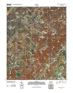Billingsley Gap Tennessee Historical topographic map, 1:24000 scale, 7.5 X 7.5 Minute, Year 2010