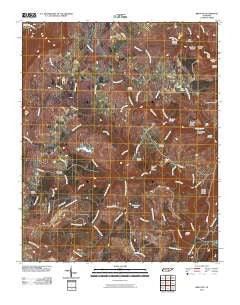 Brayton Tennessee Historical topographic map, 1:24000 scale, 7.5 X 7.5 Minute, Year 2010