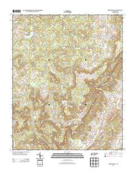Brockdell Tennessee Historical topographic map, 1:24000 scale, 7.5 X 7.5 Minute, Year 2013
