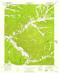 Bucksnort Tennessee Historical topographic map, 1:24000 scale, 7.5 X 7.5 Minute, Year 1952