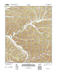 Bucksnort Tennessee Historical topographic map, 1:24000 scale, 7.5 X 7.5 Minute, Year 2013