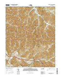 Buffalo Valley Tennessee Current topographic map, 1:24000 scale, 7.5 X 7.5 Minute, Year 2016