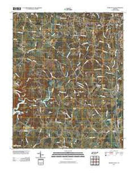 Burgess Falls Tennessee Historical topographic map, 1:24000 scale, 7.5 X 7.5 Minute, Year 2010