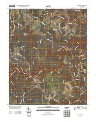 Burrville Tennessee Historical topographic map, 1:24000 scale, 7.5 X 7.5 Minute, Year 2010